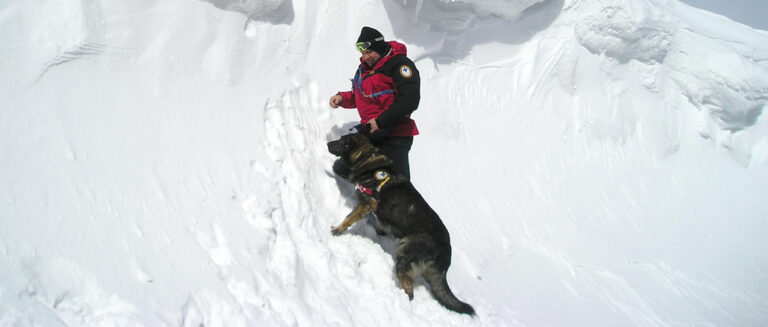 OSTATNI PRACOWITY DYŻUR PIOTRA BEDNARZA