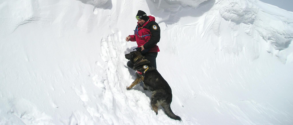 OSTATNI PRACOWITY DYŻUR PIOTRA BEDNARZA