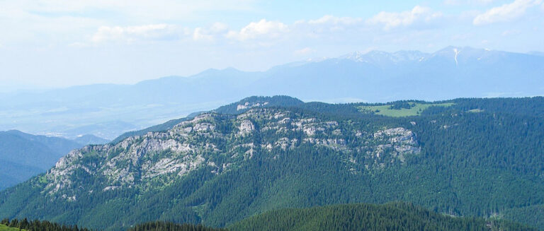 KATASTROFA HELIKOPTERA RATUNKOWEGO