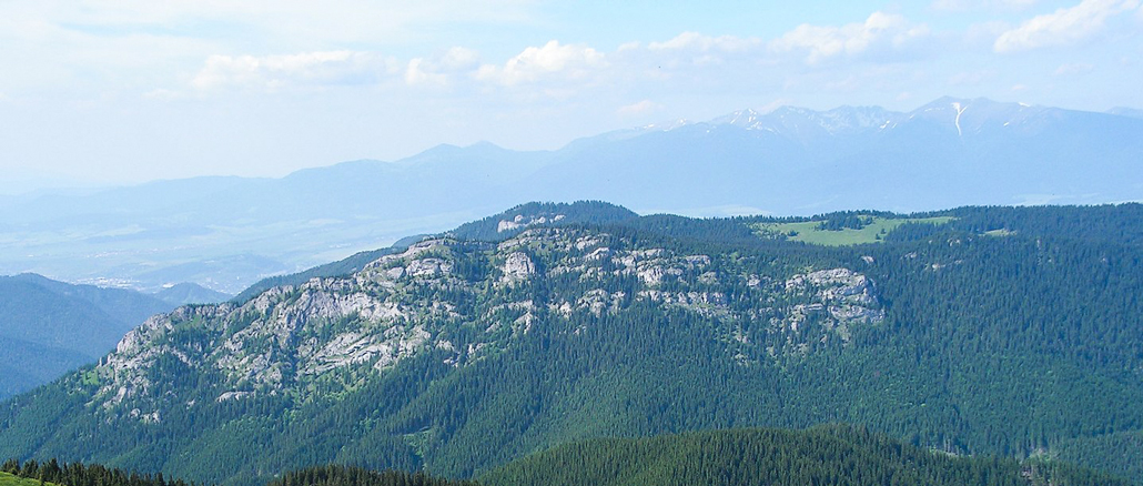 KATASTROFA HELIKOPTERA RATUNKOWEGO