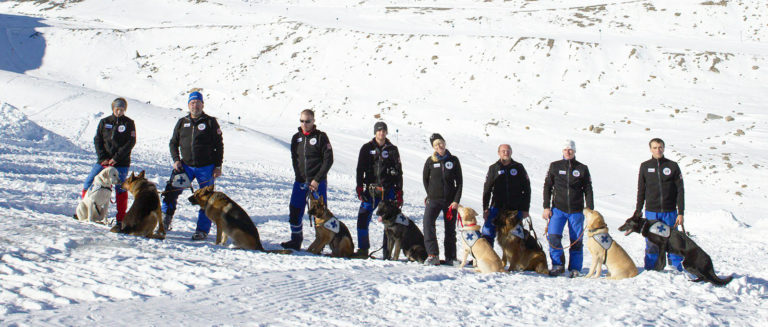 CZŁOWIEK I PIES – ZESPÓŁ RATUJĄCY ŻYCIE