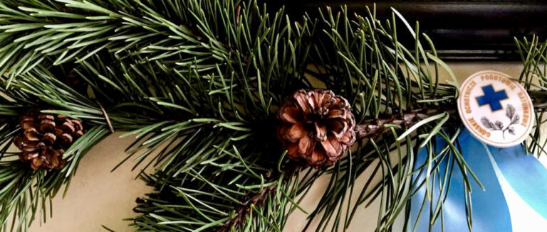 20 LISTOPADA – SMUTNA ROCZNICA