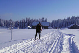 POWRÓT SZKOŁY GÓRSKIEJ